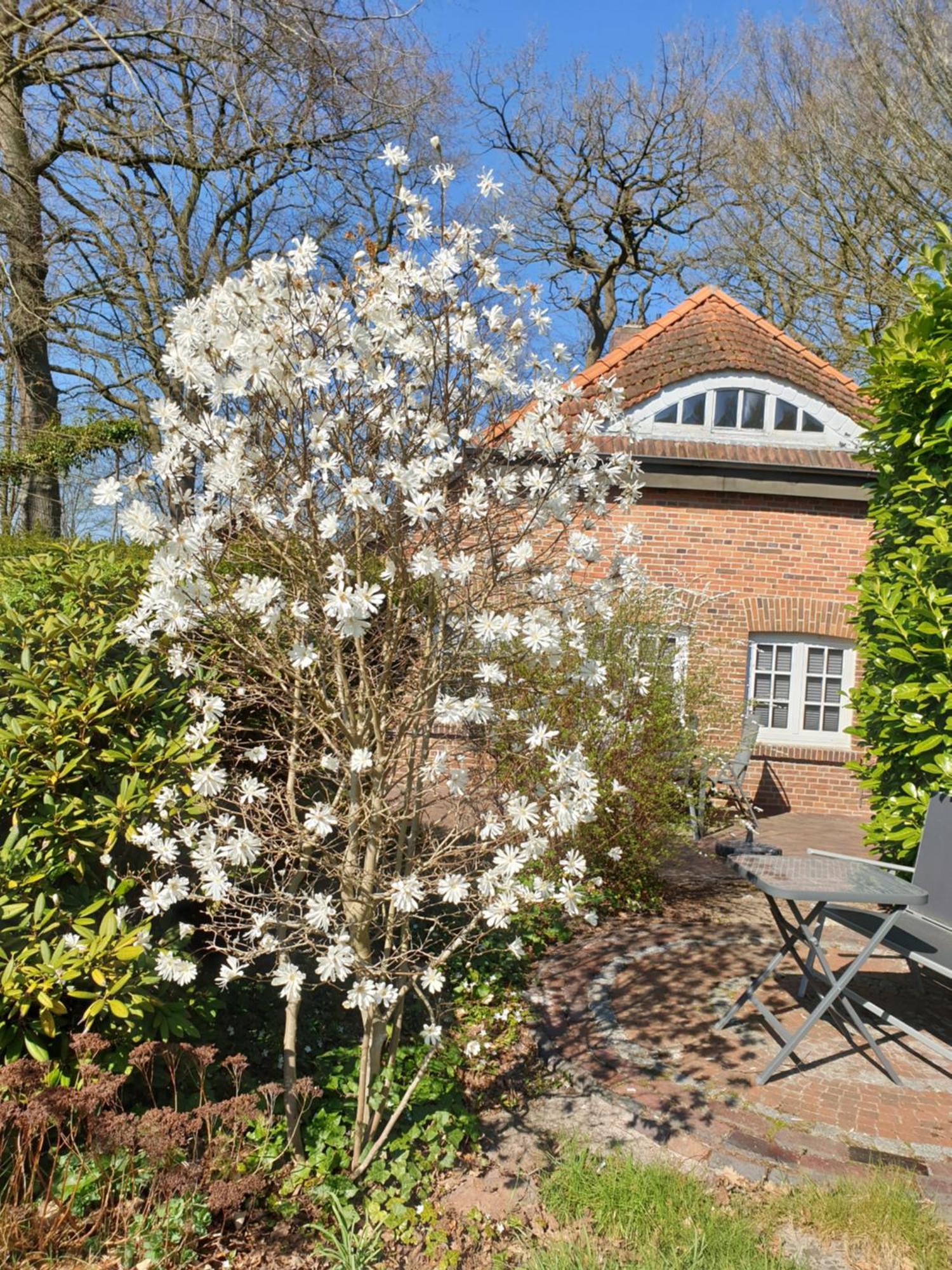 Ferienwohnung Gartenblick Westerstede Exterior photo
